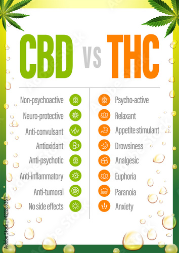 CBD vs THC, poster with comparison CBD and THC, list of differences with icons.