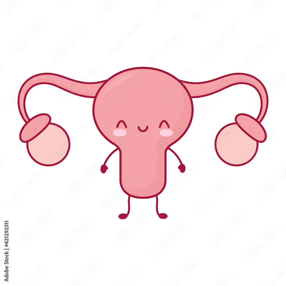 Obraz premium smiling uterus isolated
