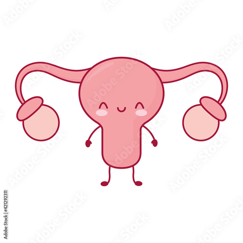 smiling uterus isolated