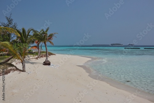 Fototapeta Naklejka Na Ścianę i Meble -  Sandy Beach and Palm Trees in Beautiful Resort in Maldives. Komandoo Island Resort. Perfect Vacation.