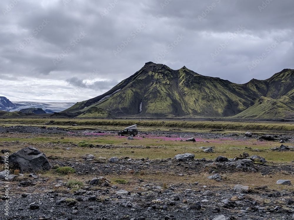 Jeep in flower fields in Iceland Jeep in flower fields in Iceland