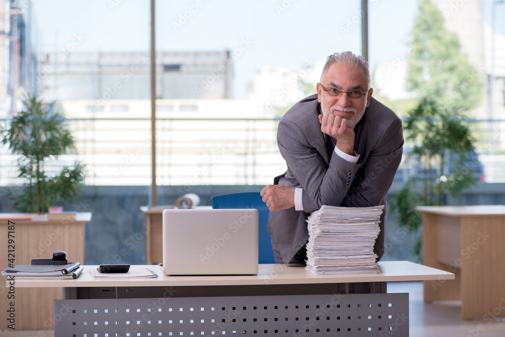 Aged businessman employee working in the office Aged businessman employee working in the office