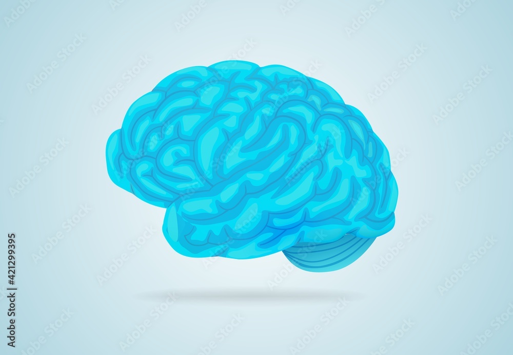 Anatomical blue brain. Large gyrus encircle entire circumference complex structure of intelligence cerebral organ that controls vector body. Anatomical blue brain. Large gyrus encircle entire circumference complex structure of intelligence cerebral organ that controls vector body.
