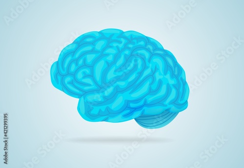 Anatomical blue brain. Large gyrus encircle entire circumference complex structure of intelligence cerebral organ that controls vector body.