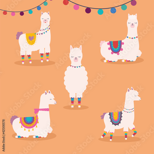 five sweet llamas