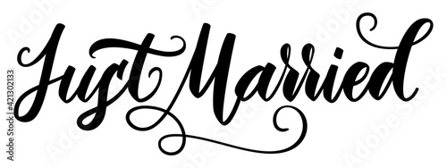 Just Married Lettering calligraphy brush pen. Vector illustration. Typography Print
