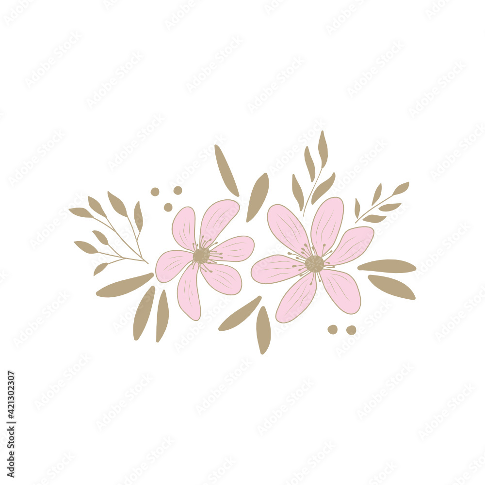 pink flowers on white background