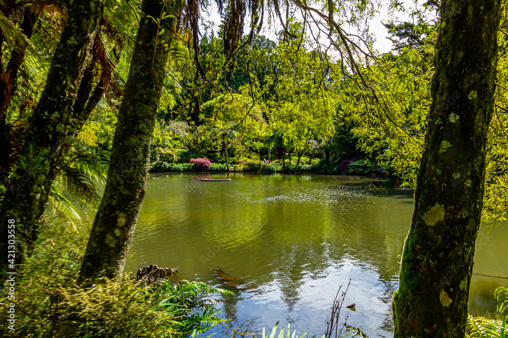 Views while walking around the gardens. Pukekura Park, Taranaki, New Zealand