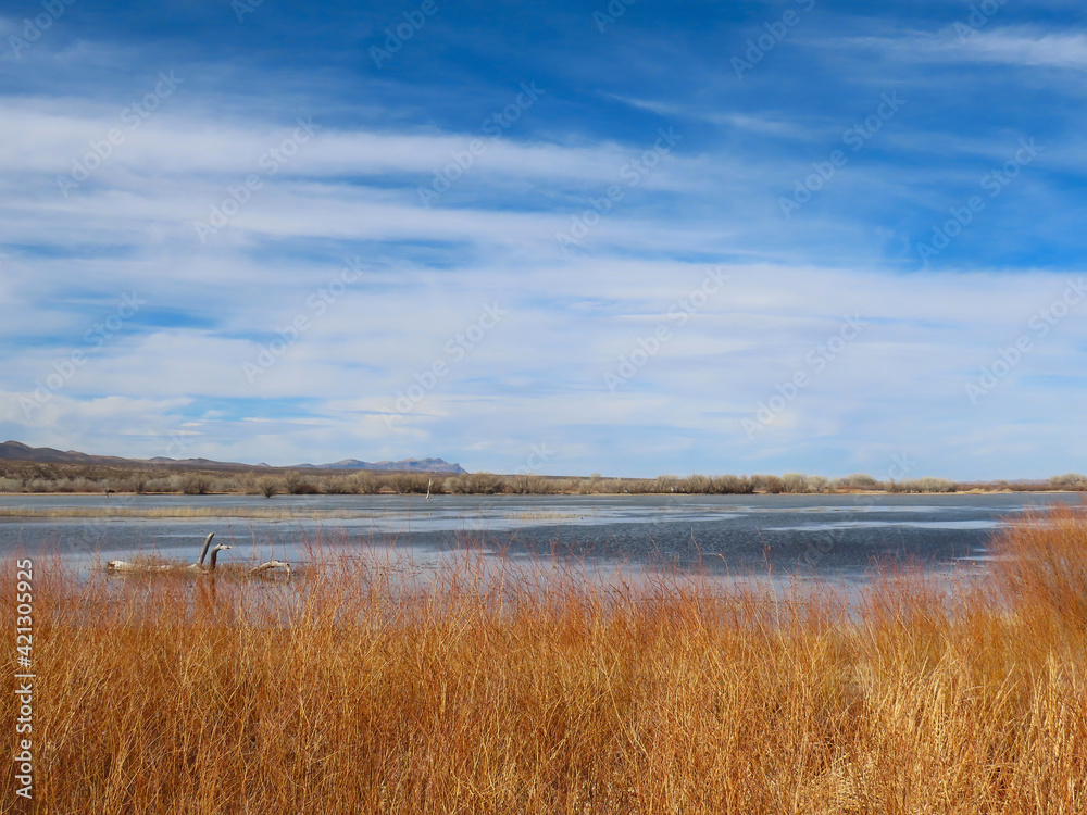 Scenic views of Bosque del Apache National Wildlife Refuge in Socorro County, New Mexico Scenic views of Bosque del Apache National Wildlife Refuge in Socorro County, New Mexico