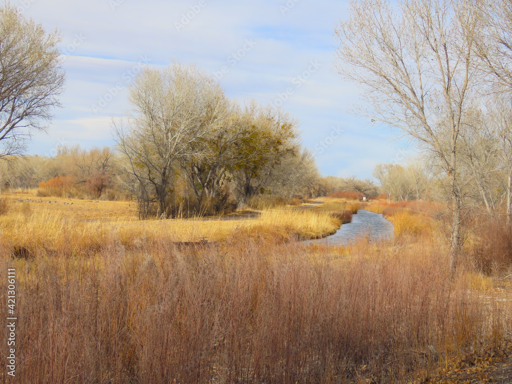 Fototapeta premium Scenic views of Bosque del Apache National Wildlife Refuge in Socorro County, New Mexico