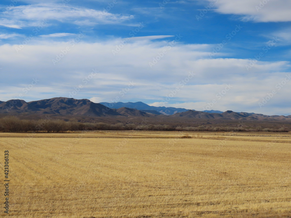 Scenic views of Bosque del Apache National Wildlife Refuge in Socorro County, New Mexico