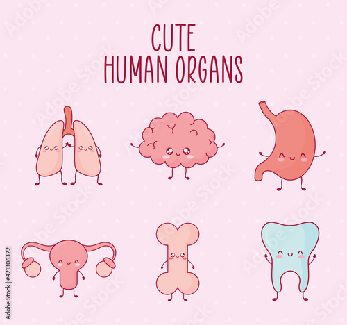 cute organs card