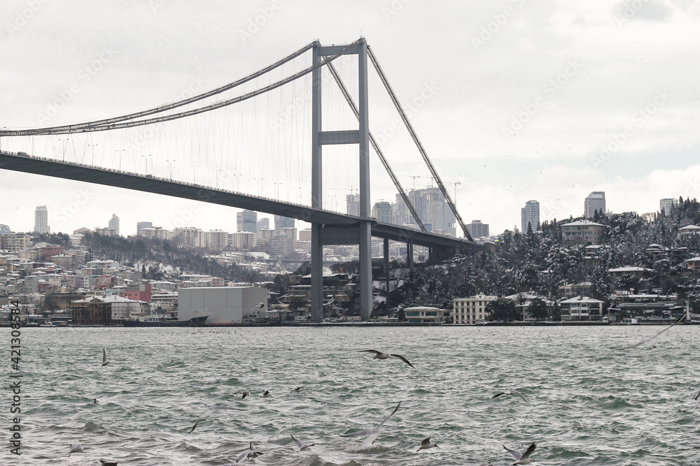 Beautiful view on the high bridge in Istambul in winter. Snow covered trees and buildings. Seagulls.