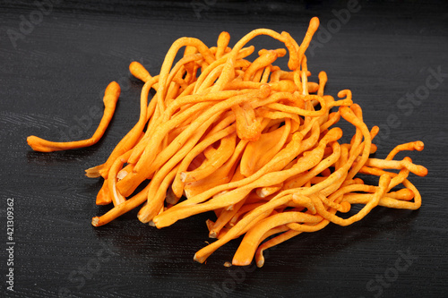 fresh cordyceps mushroom on white background.
