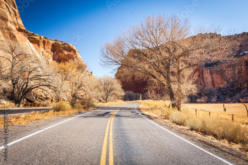 Fremont Cottonwood Trees at Capitol Gorge Road, Capitol Reef National Park On Winter 