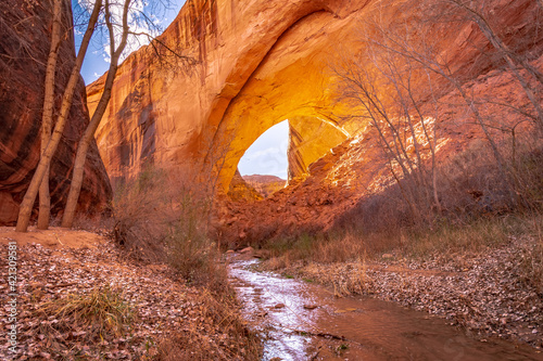 Coyote Gulch, Grand-Staircase Escalante 