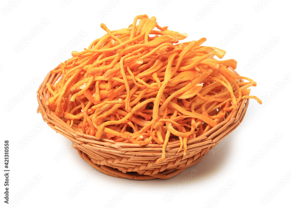 fresh cordyceps mushroom on white background. fresh cordyceps mushroom on white background.