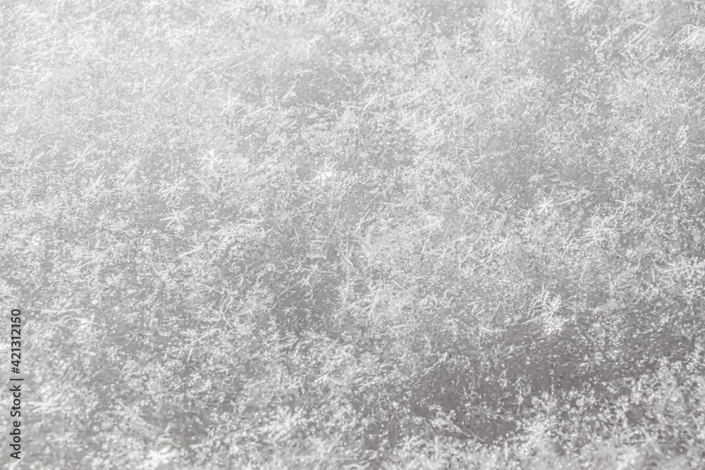 Close-up of fresh snow that has just fallen. Separate shiny stars of snowflakes. The texture of a solid layer of snow.