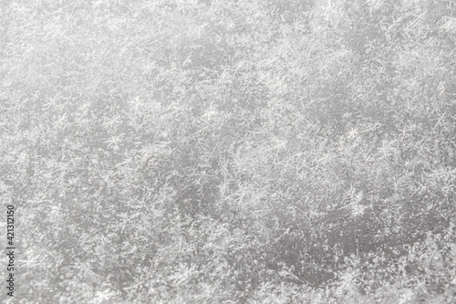 Close-up of fresh snow that has just fallen. Separate shiny stars of snowflakes. The texture of a solid layer of snow.
