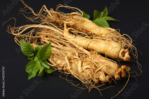korean wild ginseng root on black background