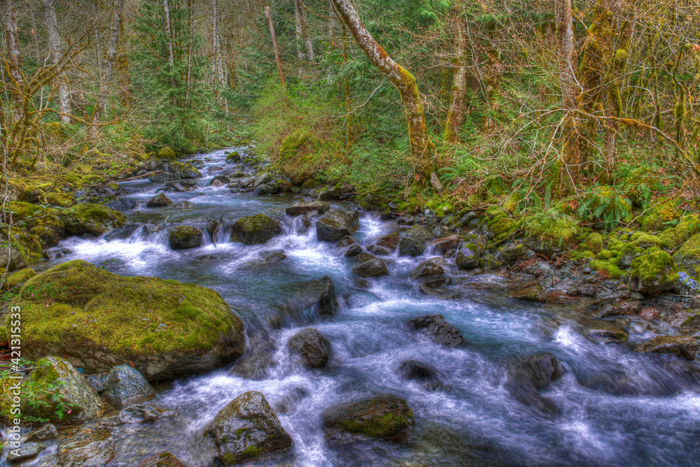 USA, Washington, Rocky Brook Falls. Scenic of stream cascading over rocks.