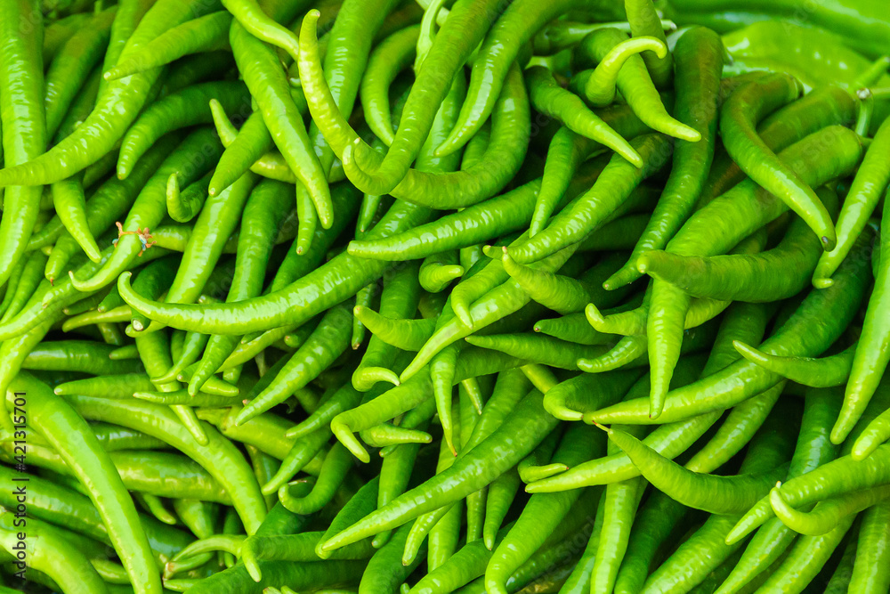 plenty of long green hot peppers. fresh and organic vegetables at the farmers' market. seasonal harvesting of chili peppers. wallpaper. plenty of long green hot peppers. fresh and organic vegetables at the farmers' market. seasonal harvesting of chili peppers. wallpaper.