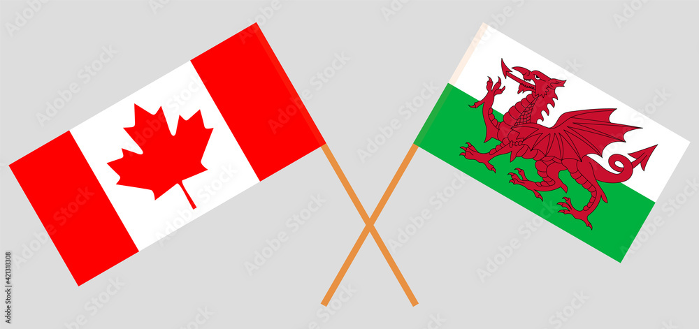 Crossed flags of Canada and Wales. Official colors. Correct proportion Crossed flags of Canada and Wales. Official colors. Correct proportion
