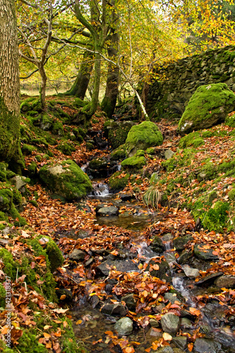 tranquil and peaceful  autumn streams and waterfalls in Lake District  in Cumbria, North England.
