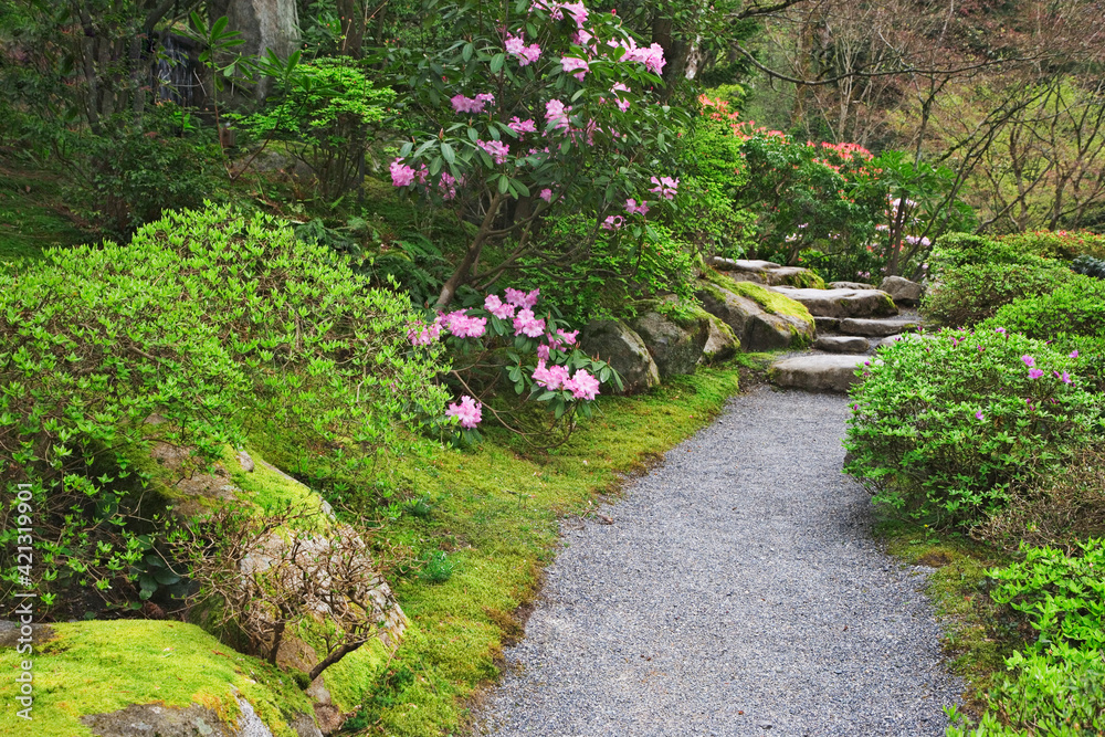 USA, Washington State, Seattle. Japanese Garden scenic at Washington Park Arboretum. USA, Washington State, Seattle. Japanese Garden scenic at Washington Park Arboretum.