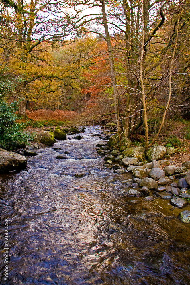 tranquil and peaceful autumn streams and waterfalls in Lake District in Cumbria, North England. tranquil and peaceful autumn streams and waterfalls in Lake District in Cumbria, North England.
