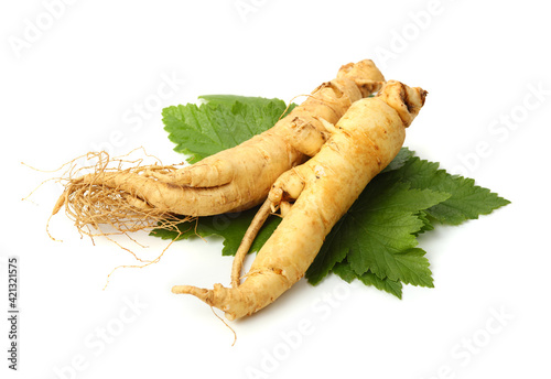 Ginseng roots on a white background