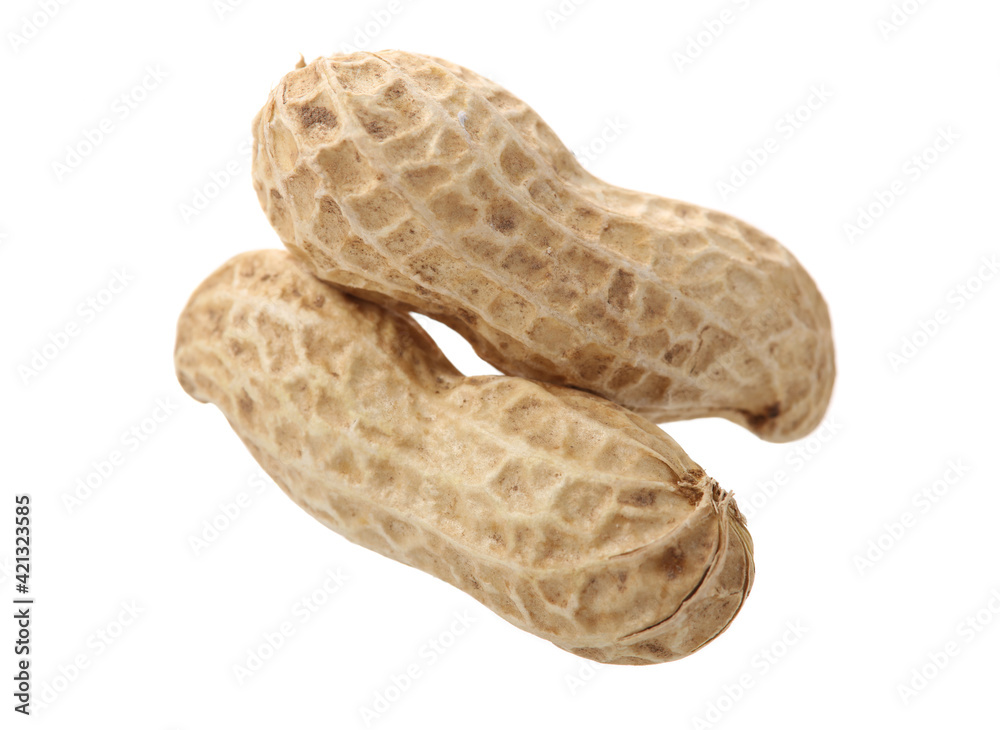 peanuts on white background peanuts on white background