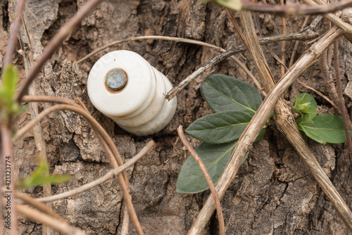 Εκτύπωση καμβά Old ceramic, electric fence insulator in a vine covered tree trunk