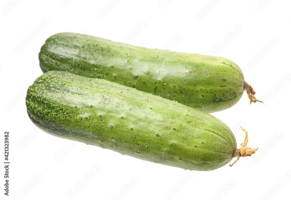 cucumber isolated on white background cucumber isolated on white background