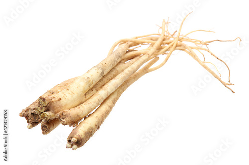 Root of Korean Bellflower (Platycodon grandiflorus) commonly known as Doraji isolated on white background. Is popular vegetable in Korea, also used in traditional Chinese medicine photo