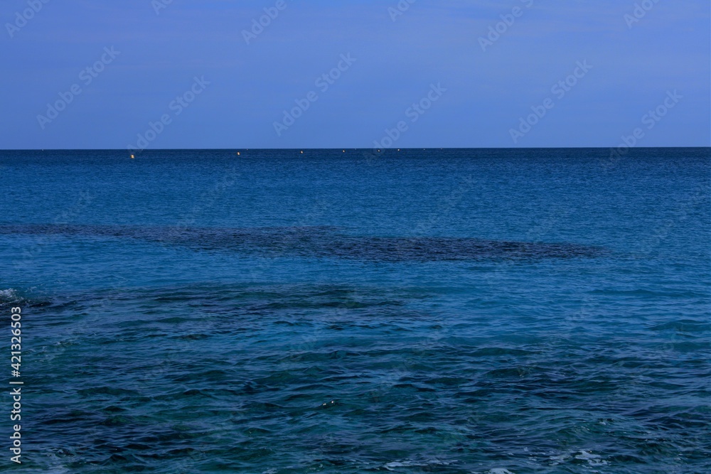 sea backdrop