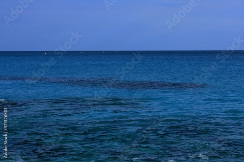 sea backdrop