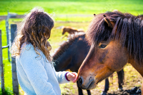 Young woman girl petting touching black and brown horse face head in countryside rural field pasture paddock in Iceland summer