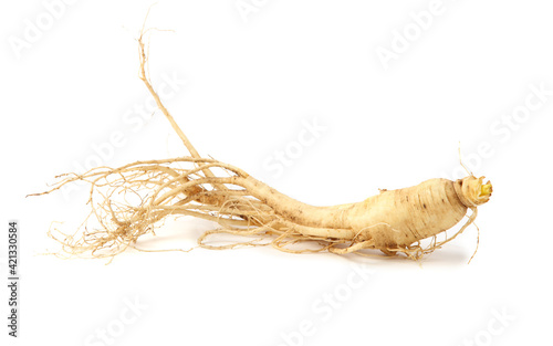 Fresh ginseng on white background.