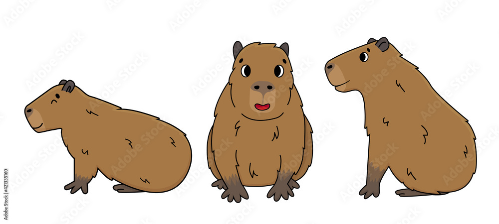 Capybara Engraçada E Fofa Feliz Na Ilustração Vetorial De Roedores Animais  De Desenho Animado Isolada Em Branco. Capybara Com Gati Ilustração do Vetor  - Ilustração de chuva, pares: 176489233