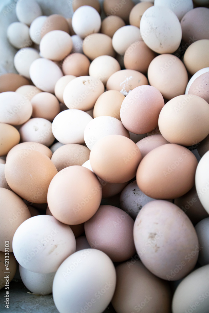 Many fresh whiteand brown eggs Many fresh whiteand brown eggs