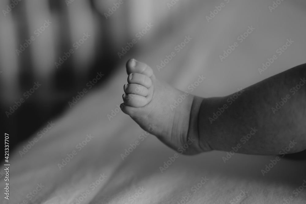 baby girl feet family newborn
