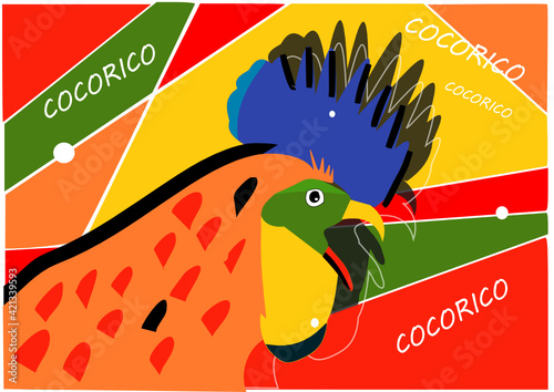 Coq multicolore