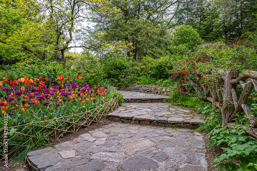 Shakespeare Garden in Central Park