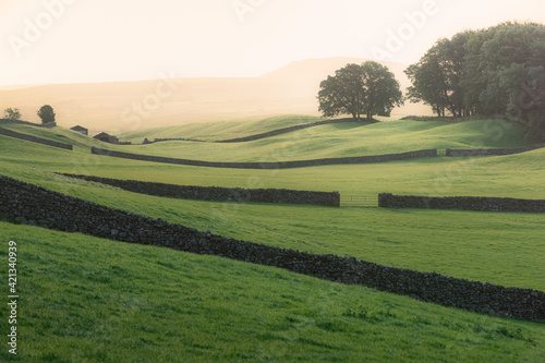 Photography Golden misty light on old stone walls and rolling hills of the rural English countryside pastoral landscape in Swaledale of the Yorkshire Dales National Park
