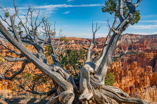 Bryce Canyon National Park,