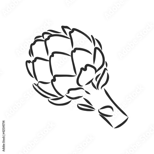 vector set of engraving illustration green vegetables artichoke on white background