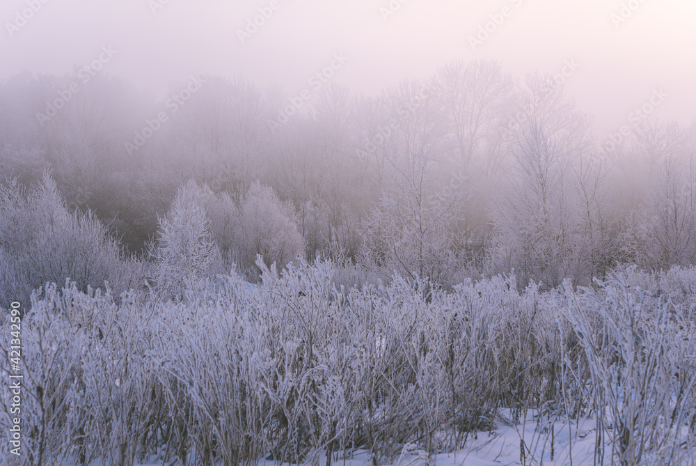 mist mist