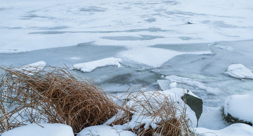 The yellowed reed leaves are covered with small ice crystals against the background of a reservoir covered with ice and snow. Winter landscape. The yellowed reed leaves are covered with small ice crystals against the background of a reservoir covered with ice and snow. Winter landscape.