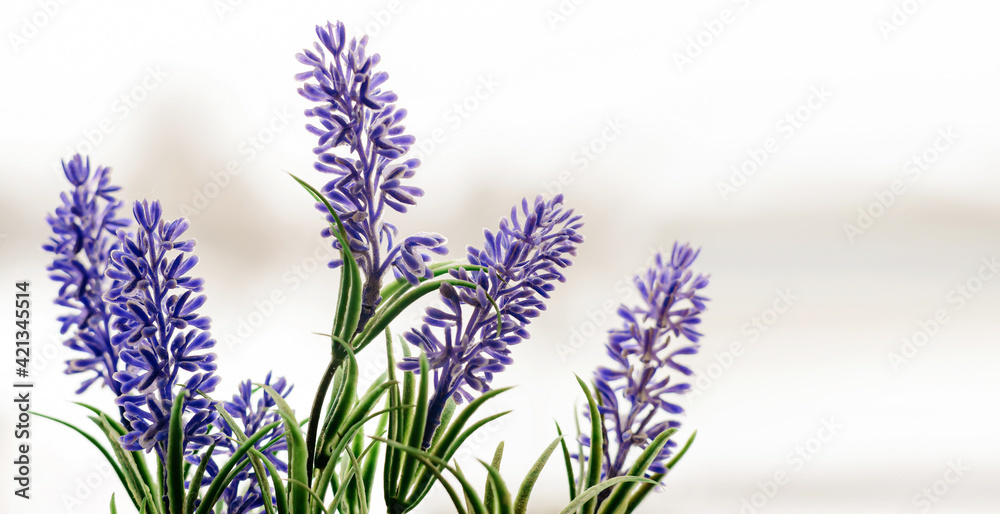 Fototapeta premium Blue flowers of cornflowers, summer rustic bouquet